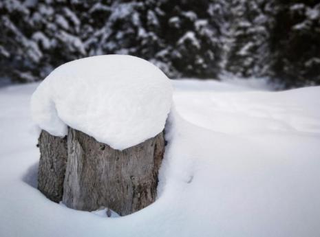 Purezza incontaminata blogbeitrag-schneeschuhwandern-01