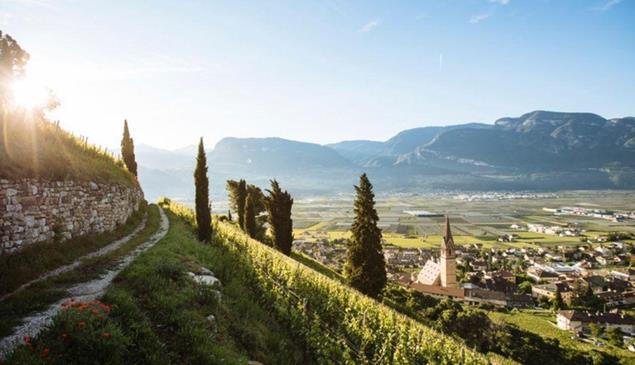 View from a hiking path on a sun-kissed village in South Tyrol.