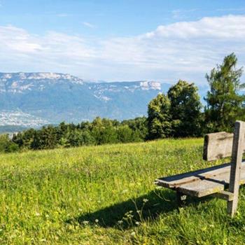 A wooden bench on a blooming meadow overlooking a wide valley and surrounding mountains.